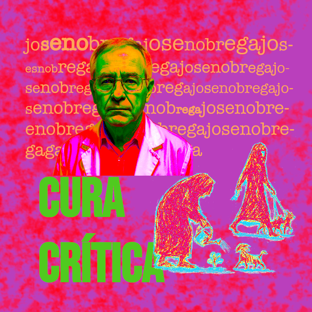 José Nóbrega — Cura crítica em Terra de Miranda